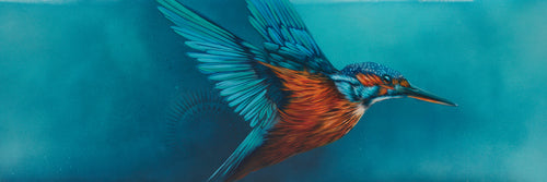 Limited Edition of 50 Fine Art Print on Hahnemuhle archival paper.